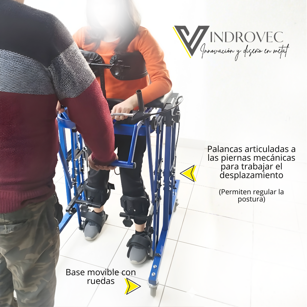 BIPEDESTADOR DINÁMICO MODELO FLEX - MIEMBROS INFERIORES